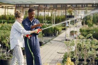 Arrosage plantes pendant les vacances : le gardien s’en charge